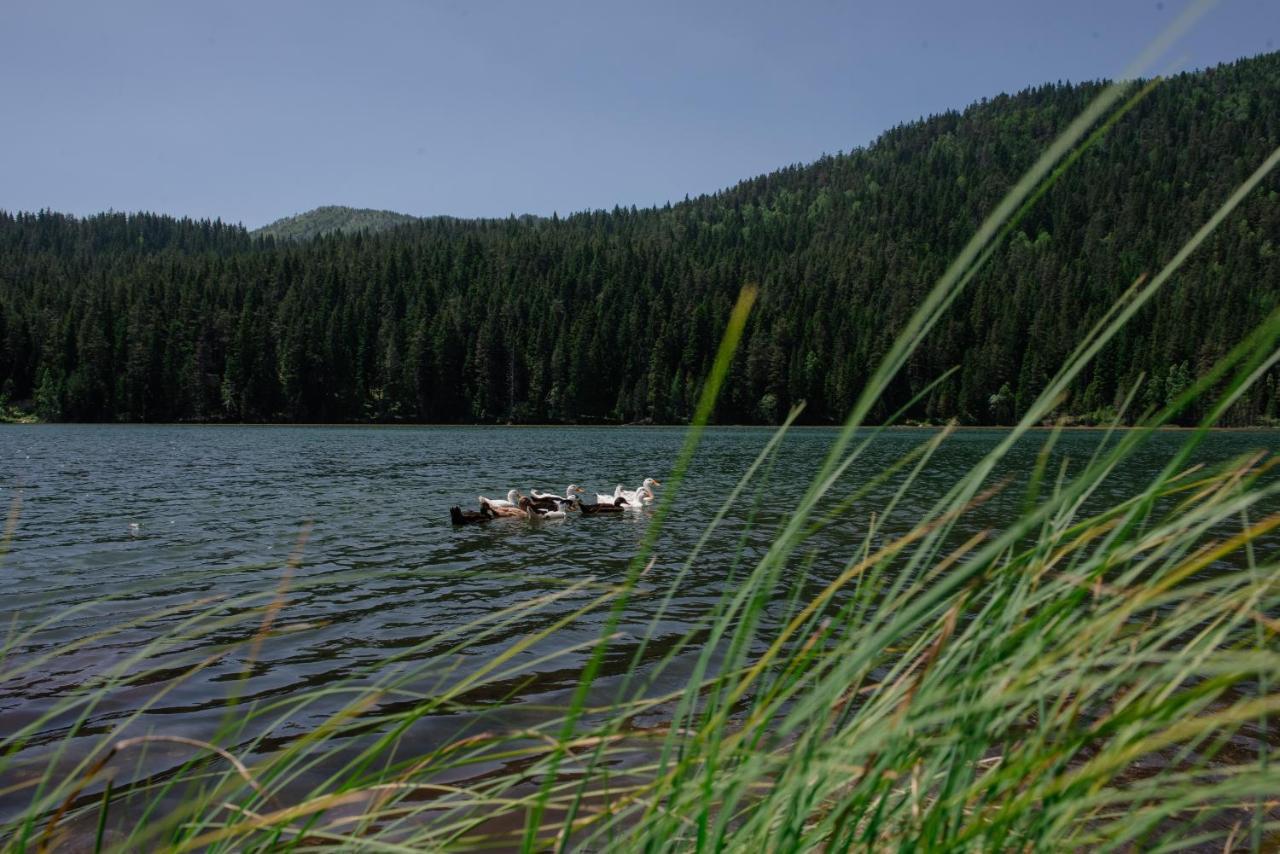 Etno Selo Zminica Hotell Žabljak Eksteriør bilde